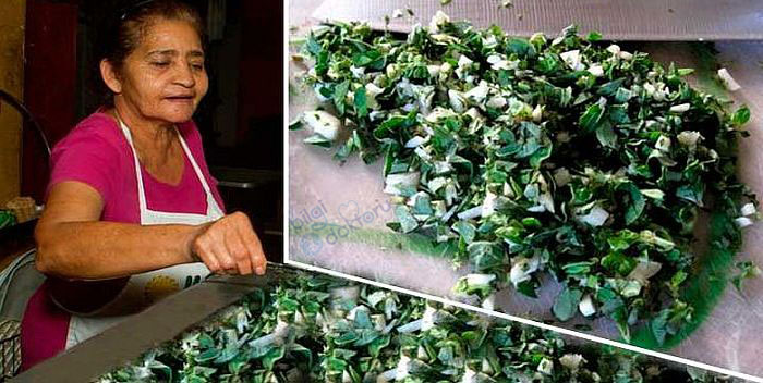 kekik-cayi-faydalari[1]