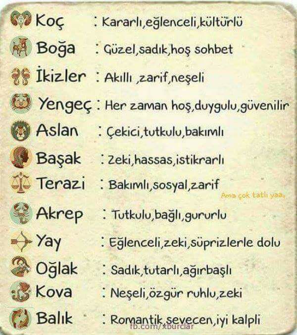 23795072_10212600660464145_4478163397824380478_n[1]