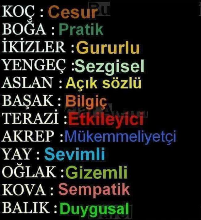 24300949_10156088797502845_8179626076753074895_n[1]