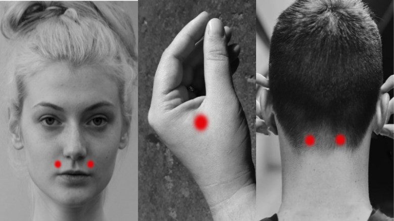 akupunktur-noktalari[1]