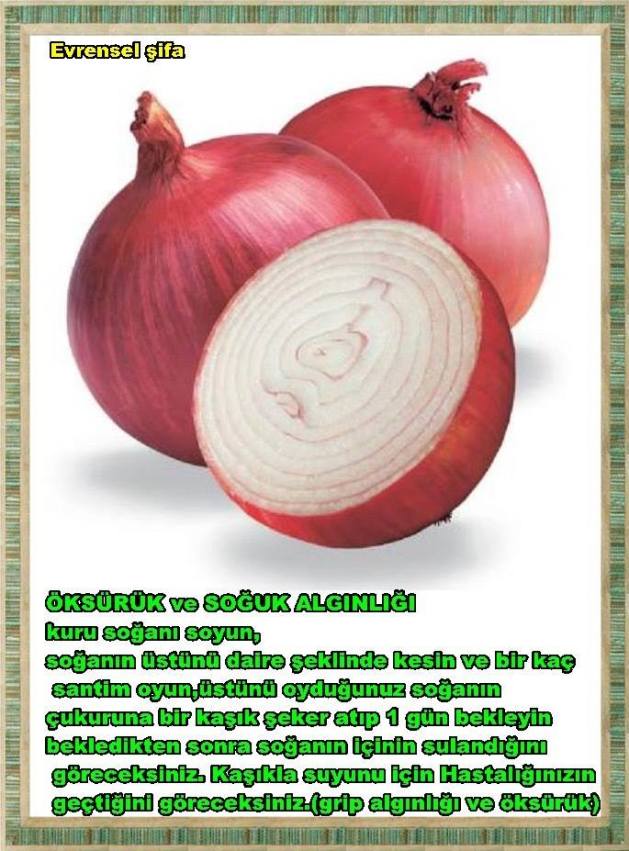 10260001_815400925190285_5107026266867681952_n[1]