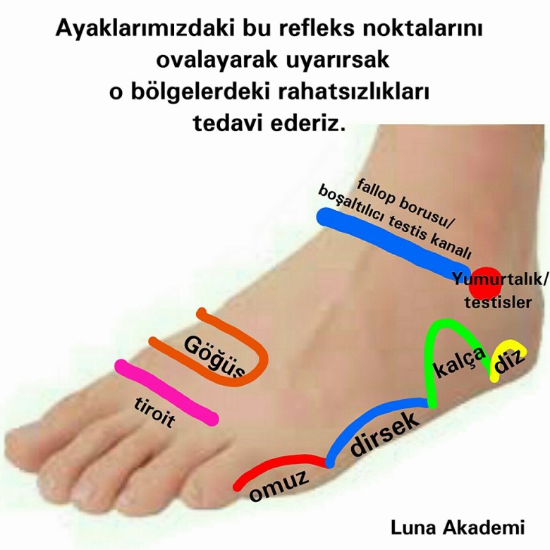 10338779_444623859067242_3045207204654748284_n[2]