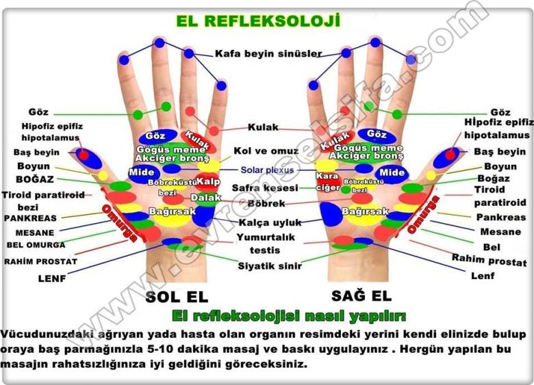 10402786_813427198720991_6548944287094190345_n[1]