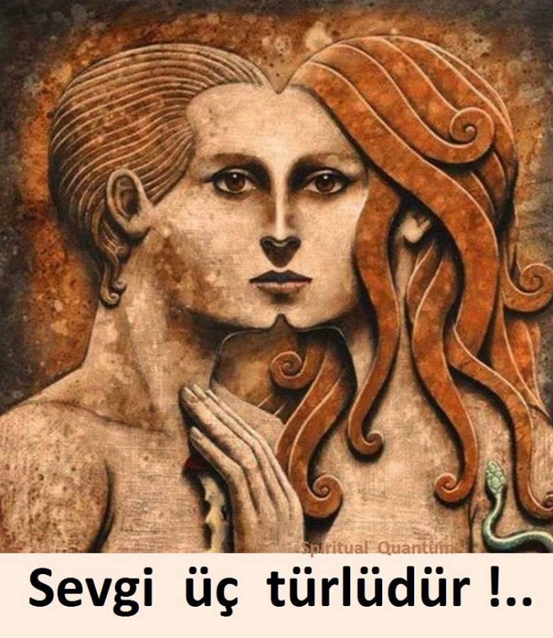 25289435_1974919086161495_5958612271118397094_n[1]