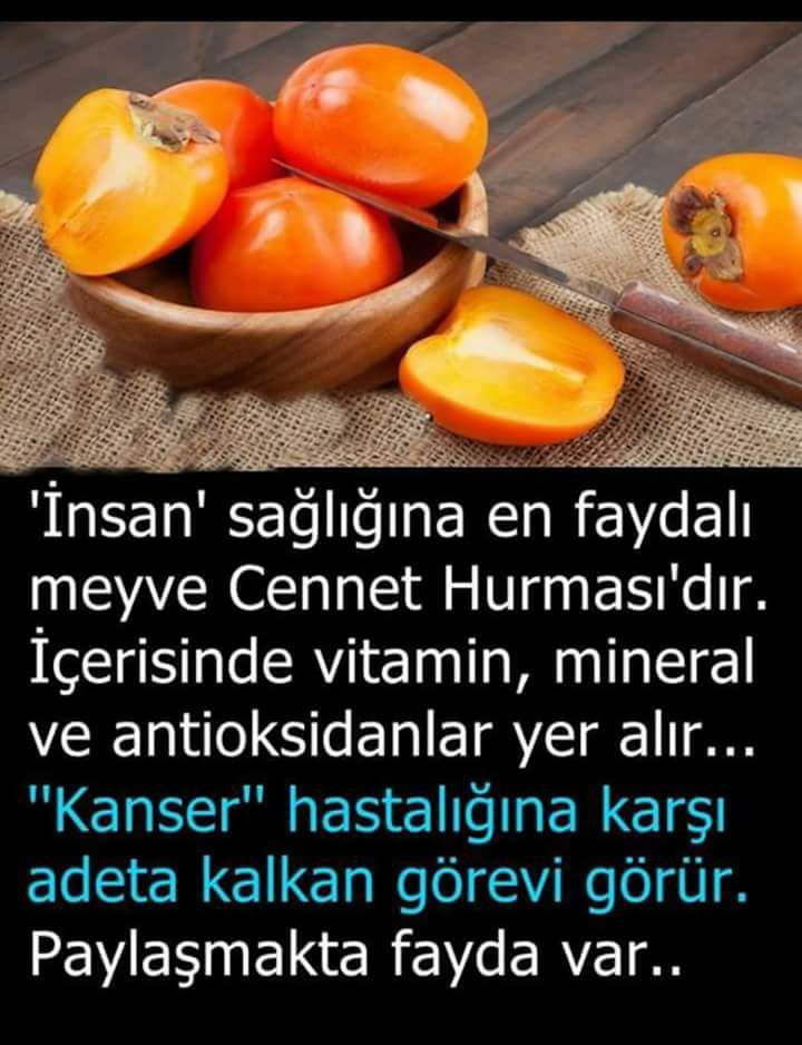 25299057_1531508826944975_5470416925081784099_n[1]