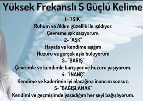 25399060_1960332394007293_7295373013411079787_n[1]