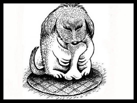 Only 1% Of People Can Spot The Animal In The Image. Can You