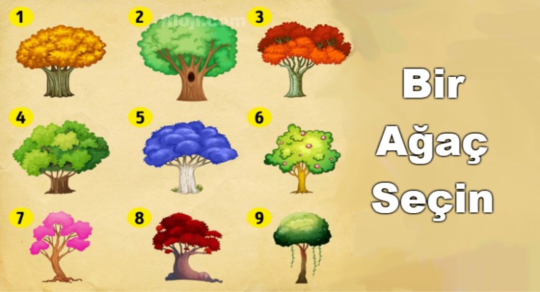 ağaçlar-secin-test[1]