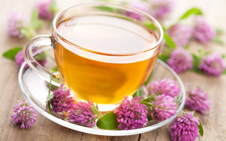 ekinezya-faydaları[1]