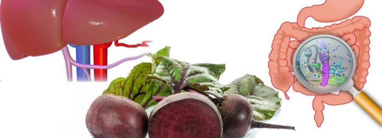 kirmizi-pancar-faydalari-880x320[1]