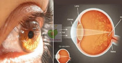 safran-baharat-sari-nokta-goz-icin-752x320[1]
