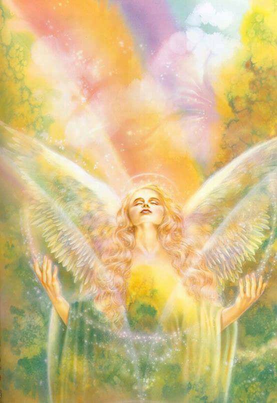 26196090_1987141538221905_8279746459390431118_n[1]