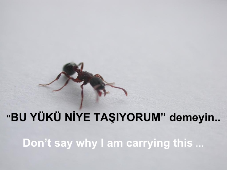 can-akin-niye-ben-yk-8-728[1]