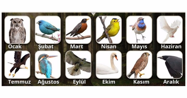 dogdugun-ayin-kusu-1[1]