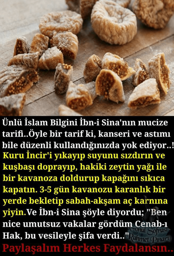 27750912_436050133475818_7302015482209178399_n[1]