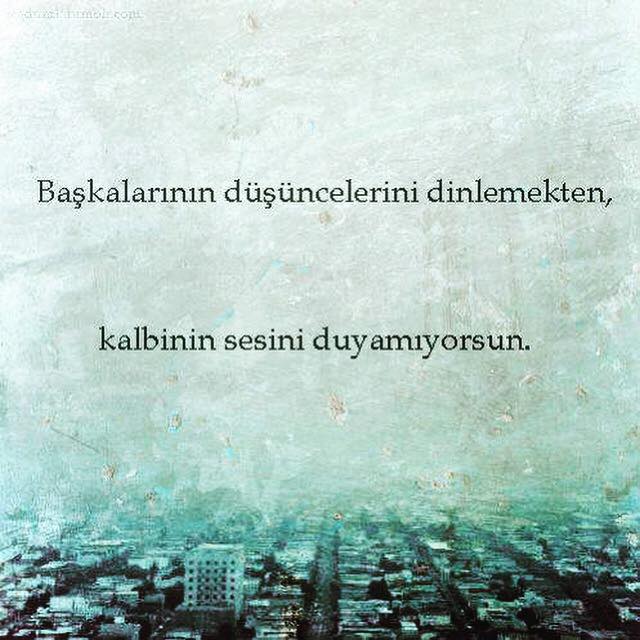 28277098_1716511521739951_2471515962821682680_n[1]