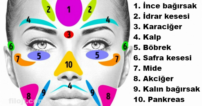 cilt-sorunlar-ve-organlar[1]