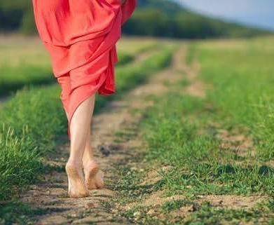 14719745_1781322278796499_2219785376568967168_n[1]