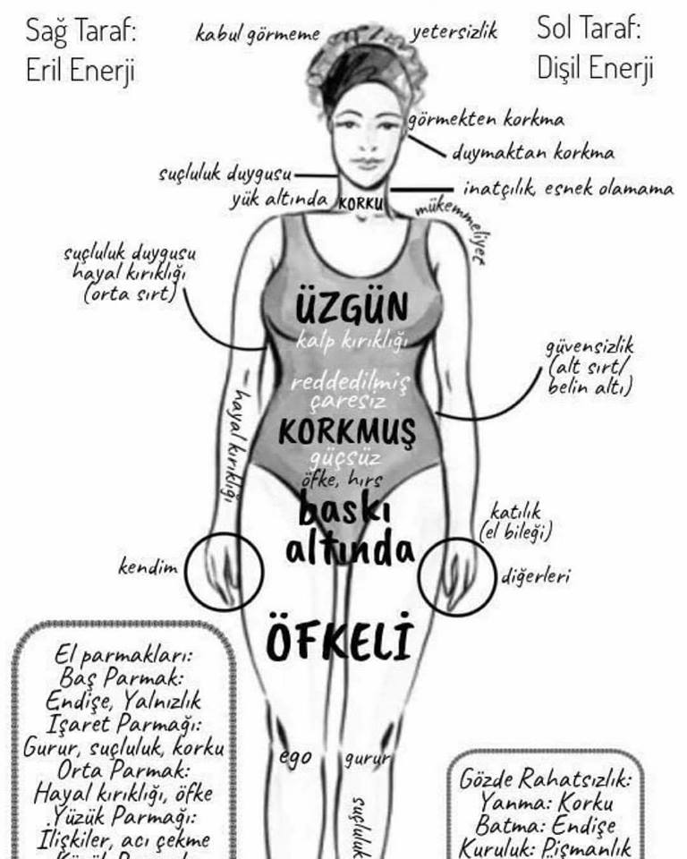 28575661_334451220379647_2745884072283982000_n[1]