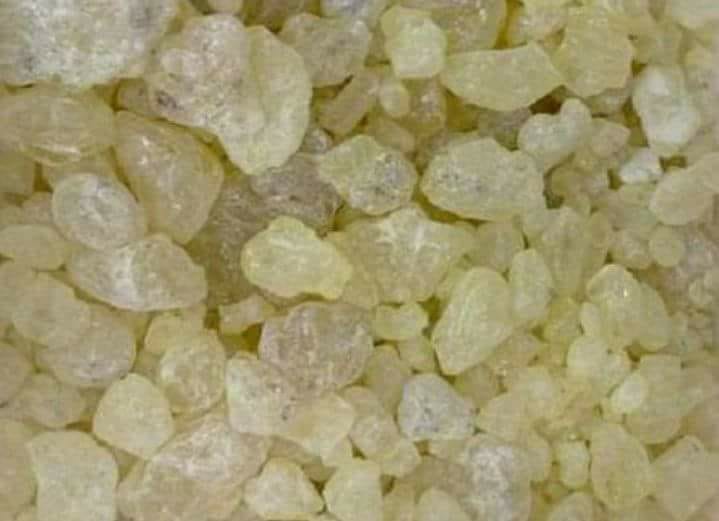 28871829_228817047688425_8070687309890821110_n[1]