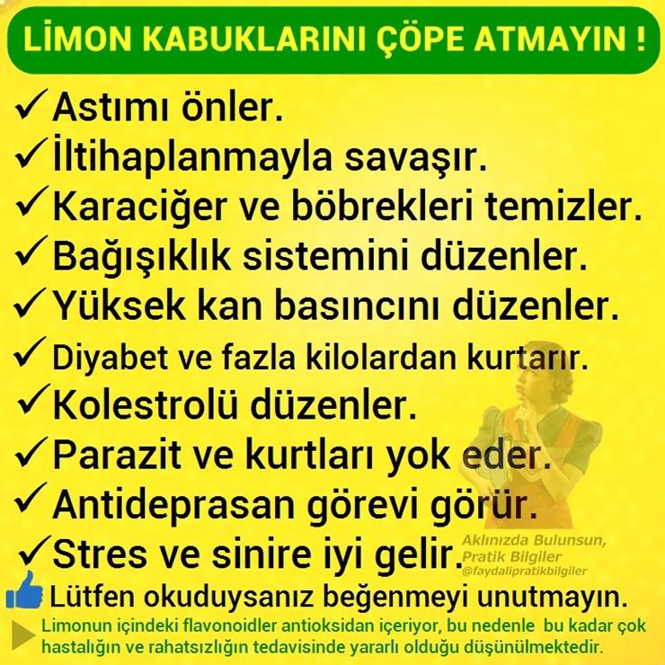 29572483_956156281231399_3296941959201437948_n[1]