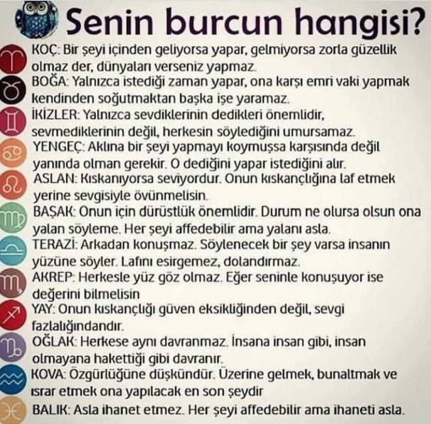 29573269_10214845040586832_8460033627809836671_n[1]