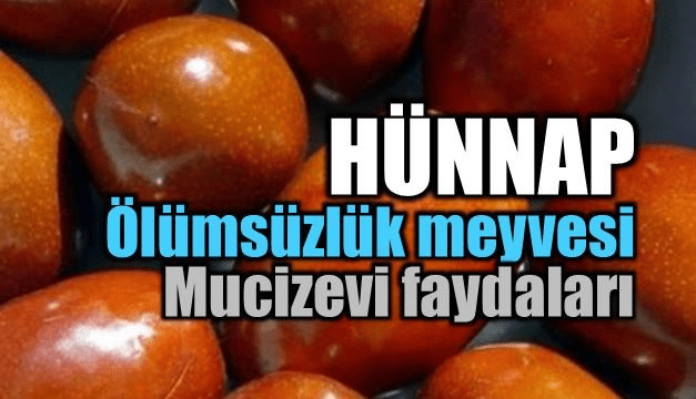 olumsuzluk-meyvesi-hunnap-b[1]