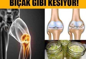 17.02.2017-1-33po2fnutefvv5xxg379q8[1]