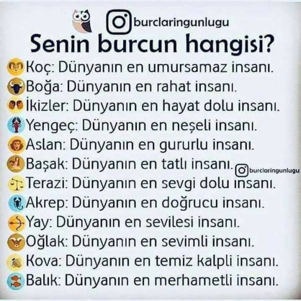 30581633_10155811214173171_7739511974894363392_n[1]