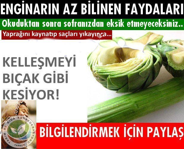 486481_235376309935138_1143302189_n[1]