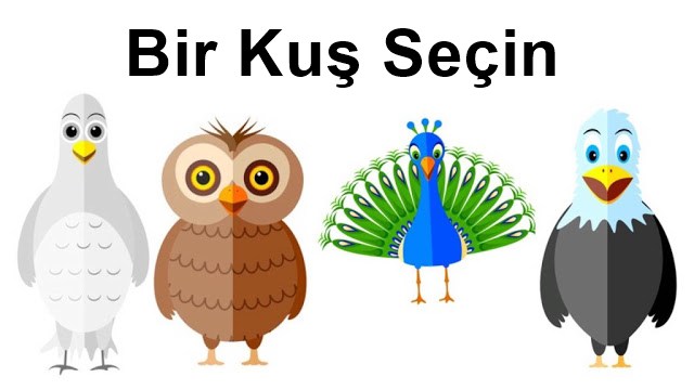 bird-personality-test-dove-owl-peacock-eagle-1024x576-1[1]