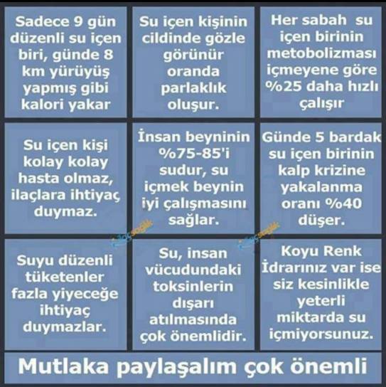 27857955_1898921440131755_4444635206793000544_n[1]