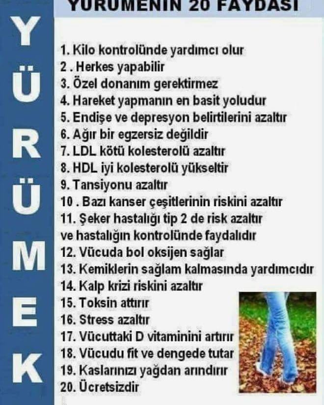 31961902_1046633288817367_8781448867355820032_n[1]