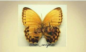 34303536_2055021868100538_5212416282300776448_n[1]