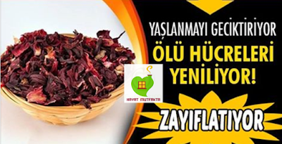 anette inselberg gençleşme