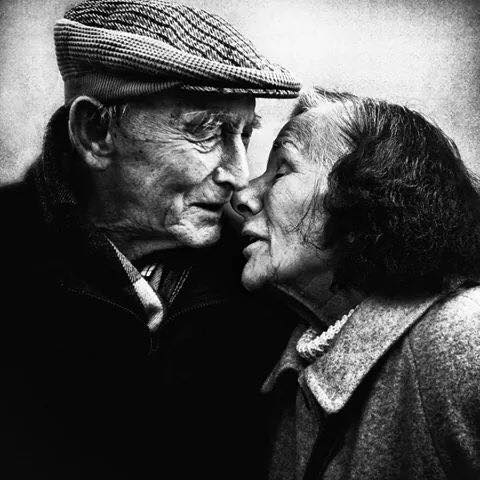 anette inselberg hayat