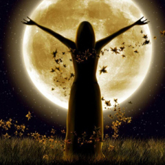 anette inselberg amacım