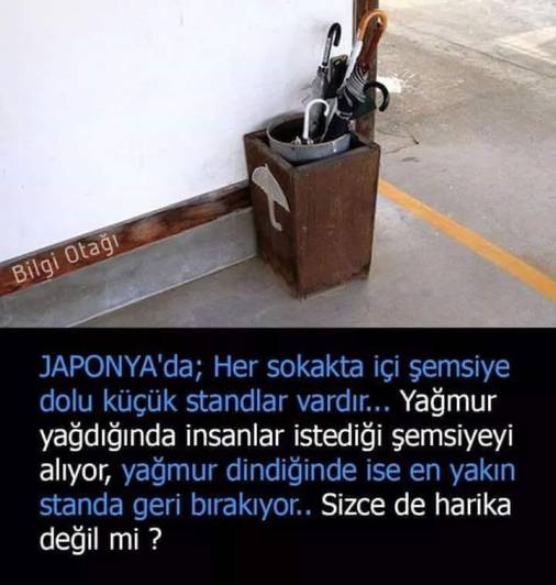 anette inselberg şemsiye