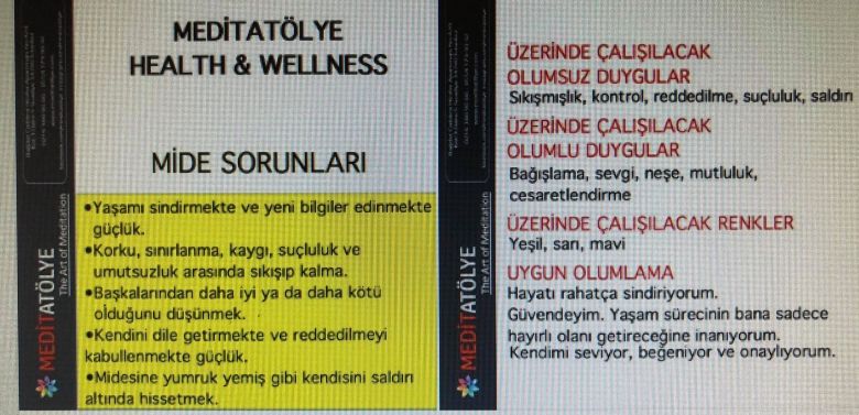 anette inselberg mide