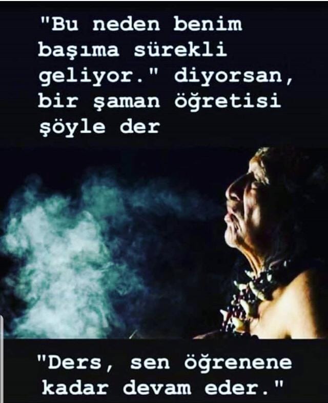 anette inselberg şaman öğretisi