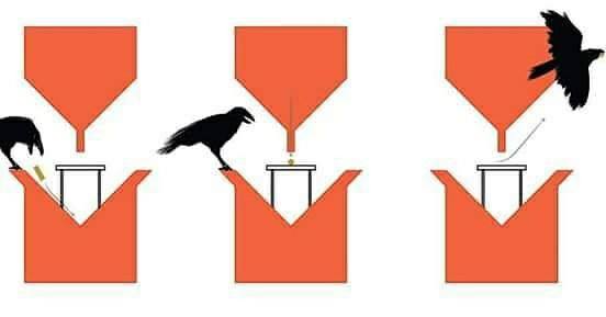 anette inselberg eğitim karga temizlik ferah