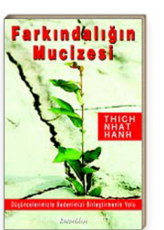 anette inselberg farkındalığın mucizesi