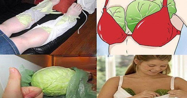 anette inselberg lahana yaprağı mucizesi