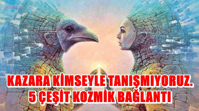 ANETTE inselberg tanıştığınız insanlar