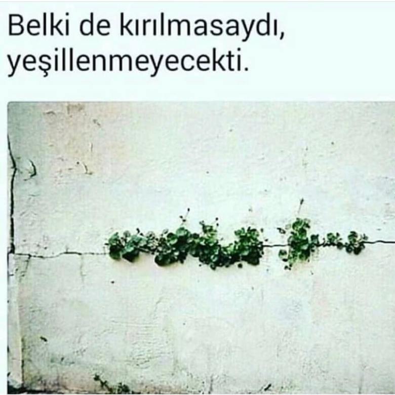 46486353_2216137338430820_8957070647024943104_o[2]