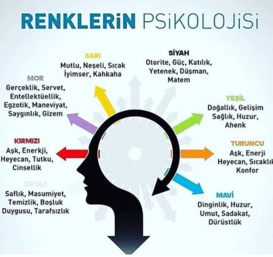 46492730_10156730141988416_203783936063569920_o[1]