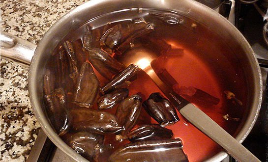 anette inselbeg akciğer keçiboynuzu