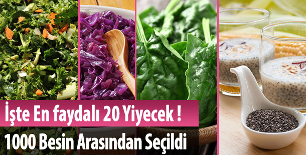 anette inselberg bilim insanlarının seçimi 20 besin