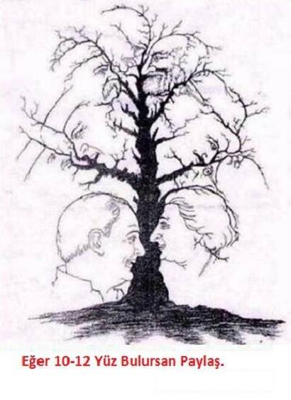 anette inselberg test kaç tane yüz