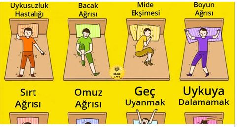 anette inselberg uyuma pozisyonları